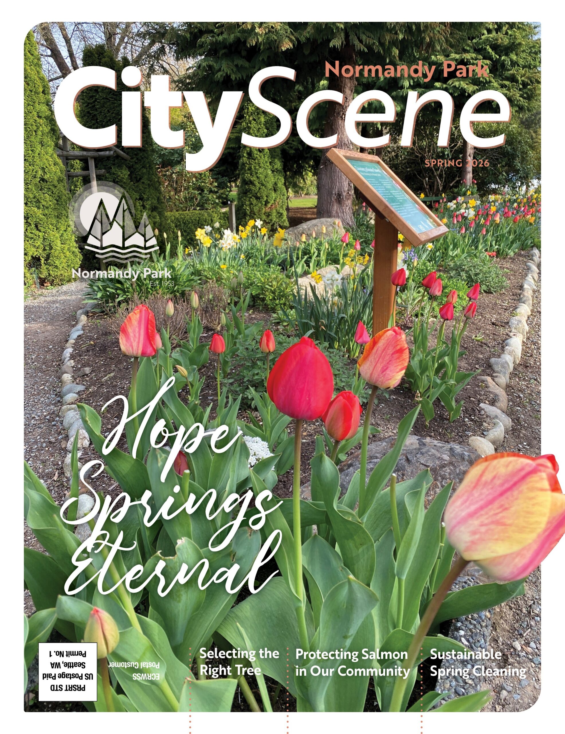Normandy Park City Scene Spring26 cover